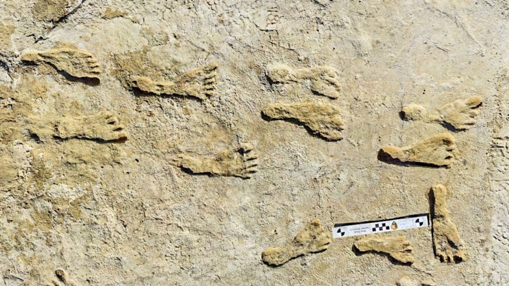 Fossil traces show the first humans in North America 23,000 years ago