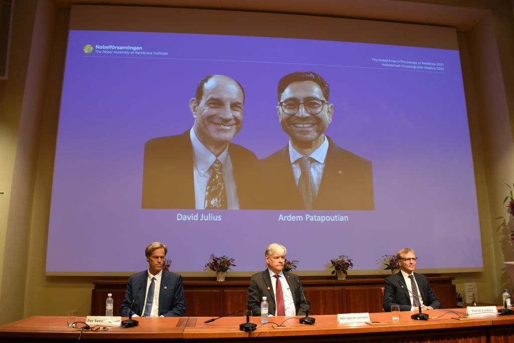 Who is the Lebanese-born scientist who won the Nobel Prize for Medicine in 2021?