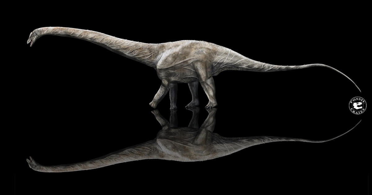 The double-breasted supersonic may be the longest dinosaur ever recorded  Science