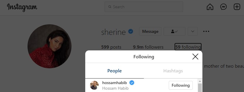 Sherin Abdel Wahab follows Hosam Habib's account on Instagram