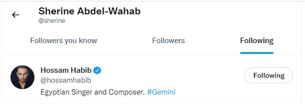 Sherin Abdel Wahab is following Hosam Habib's account on Twitter