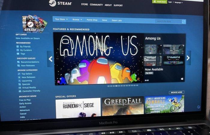The best free PC games on Steam