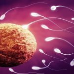 Celia physics illustrates the successful swimming capabilities of sperm