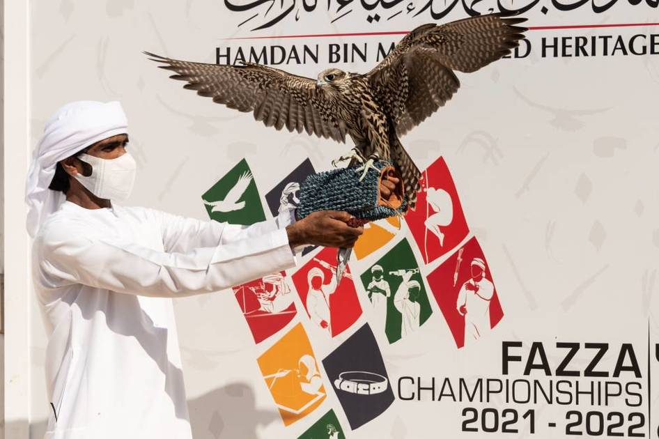 The Fazza Championship for Falconry crossed the 2000 Bird Barrier