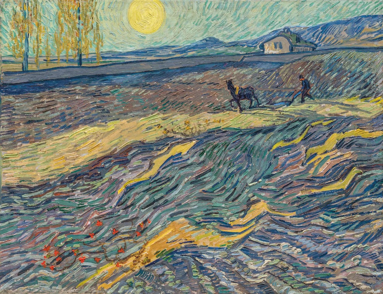 Van Gogh Paintings (5)