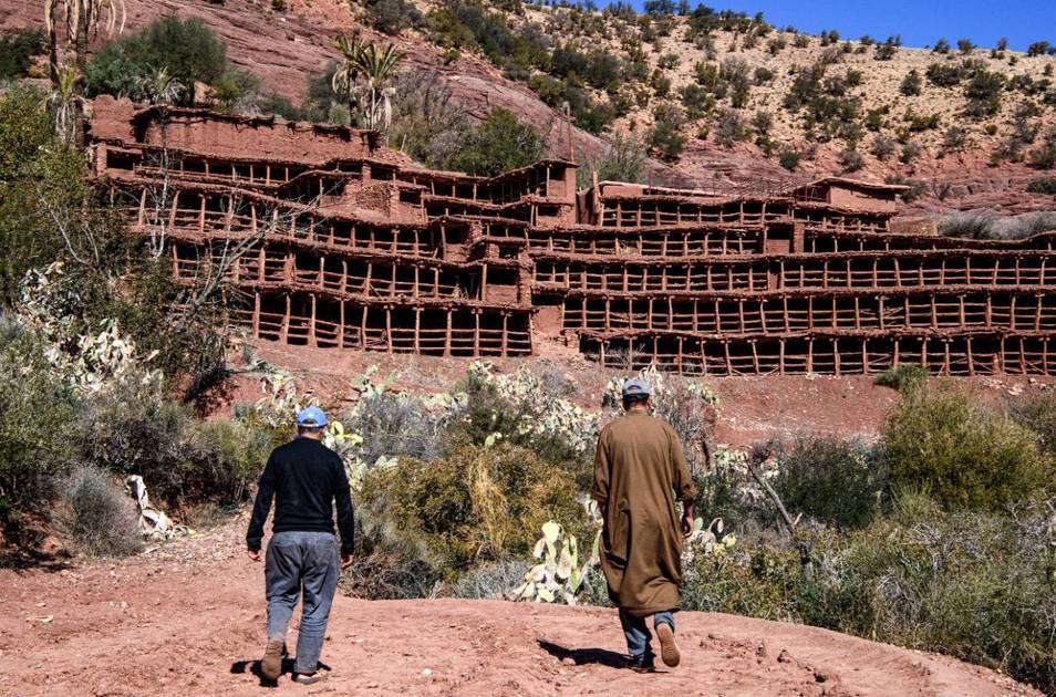 In the pictures: In Morocco, bees abandon the world's oldest collective farm to raise them