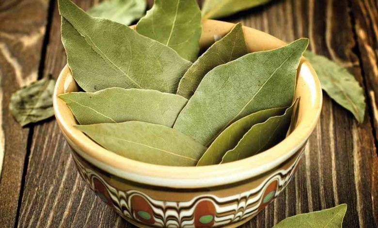 Biryani leaf