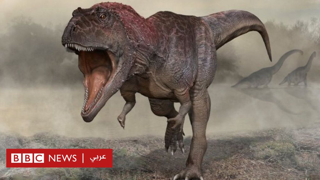 Scientists in Argentina say they have discovered a giant predatory dinosaur with short arms