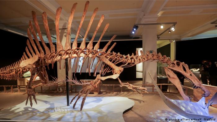 Deutschland Sonderausstellung Spinosaurus
