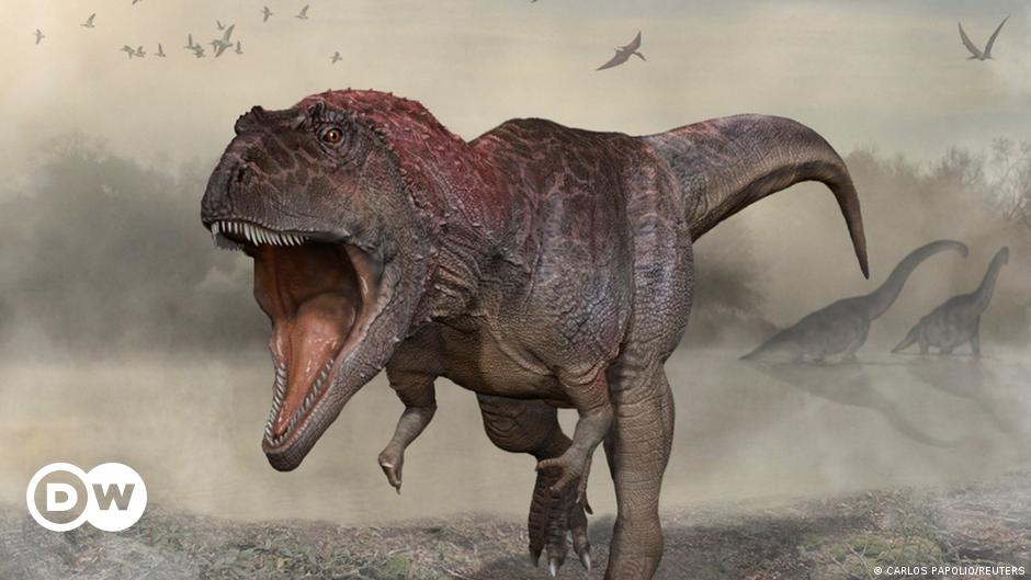 Study: This is how dinosaurs ruled the ancient world!  |  Science and Technology |  Latest findings and studies from DW Arabic |  DW