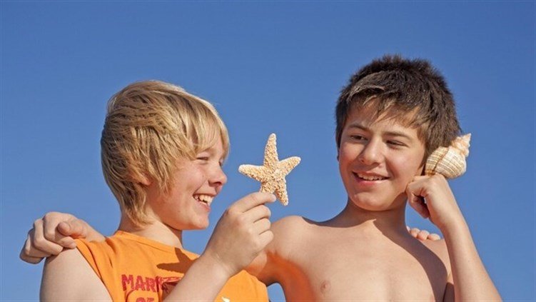 Why do you hear the sound of the sea when you put seashells to your ear?