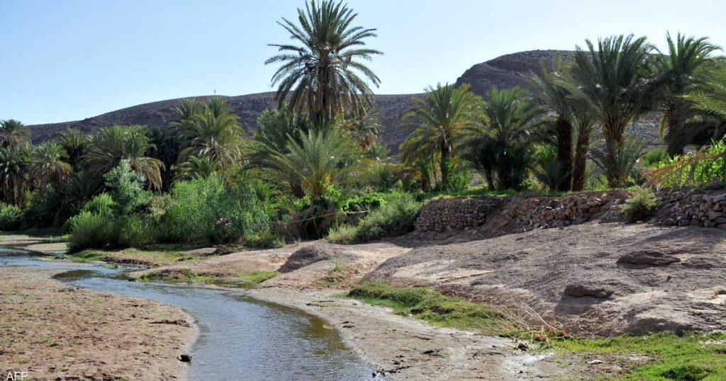 Morocco's oases... a natural treasure that is taxing climate change