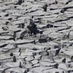 Worst warnings in 500 years… Drought kills Europe