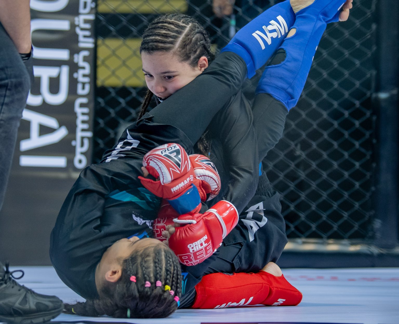 UAE National MMA Championship 5 Set to Begin at UAE University in Al Ain