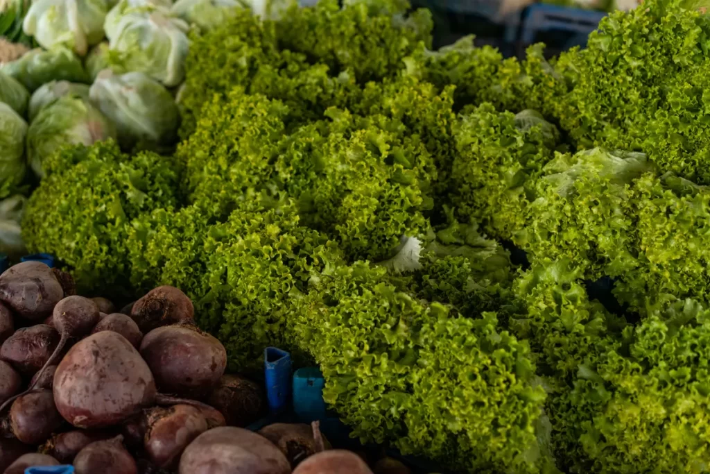 UAE markets clear of lettuce in cyclosporiasis outbreak linked to Mexico UAE lettuce cyclosporiasis outbreak