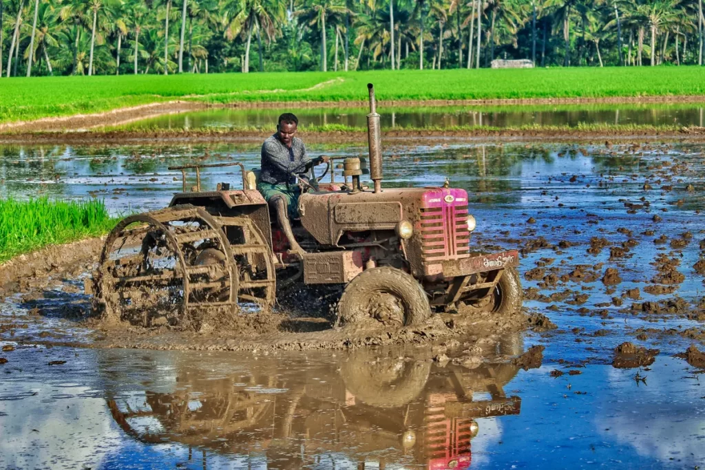 UAE winter growing season: how to prepare soil and irrigation UAE winter growing season