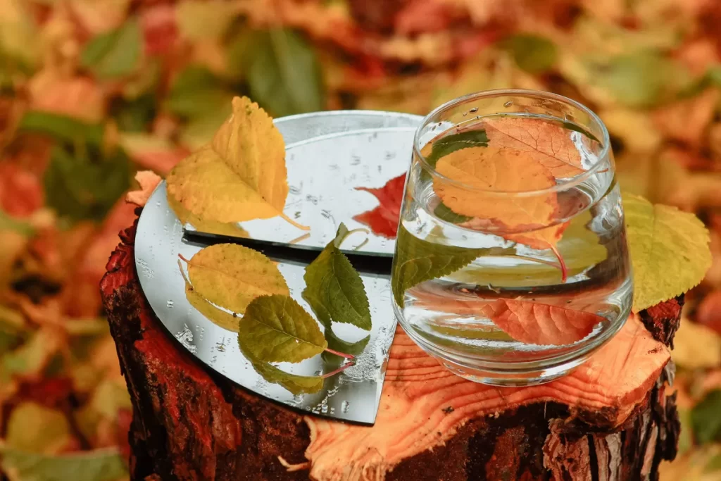 UAE autumn temperature forecast
