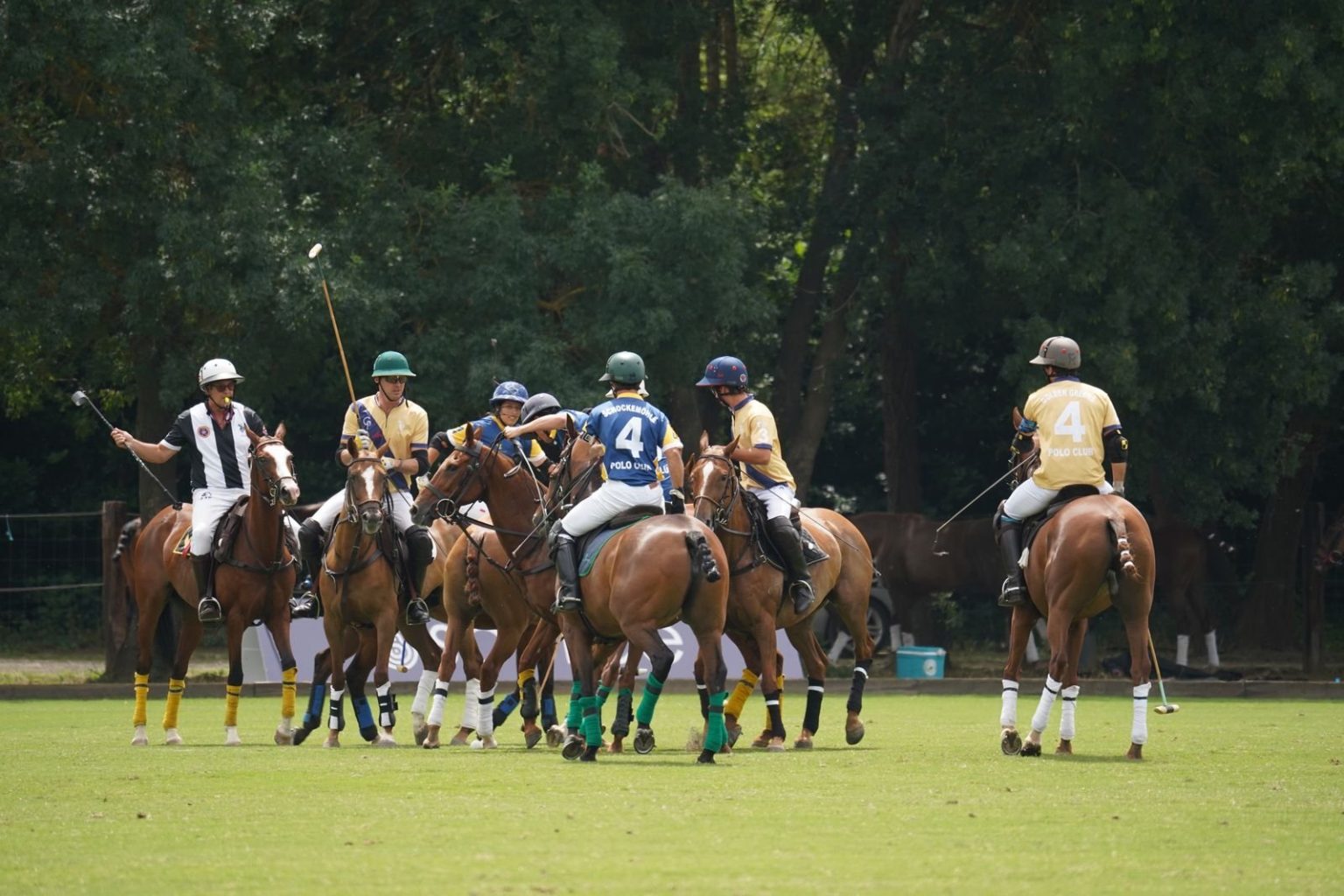 Polo players on horseback during a match